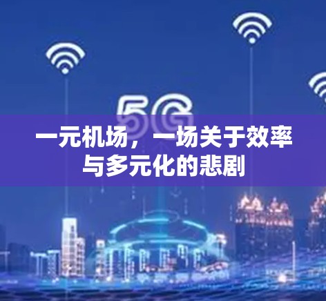 一元机场，一场关于效率与多元化的悲剧