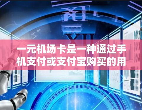 一元机场卡是一种通过手机支付或支付宝购买的用于支付机场门票的优惠卡，每个一元，即每次支付1元。以下是对该概念的详细说明