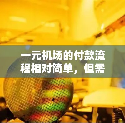 一元机场的付款流程相对简单,但需要熟悉规则和操作。以下是一元机场常用支付方式的步骤说明