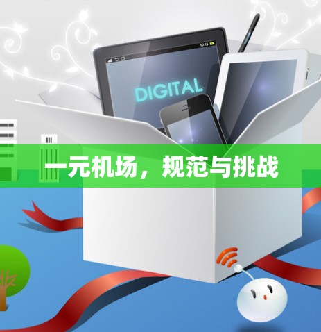 一元机场,规范与挑战 一元机场,规范与挑战