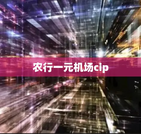 农行一元机场cip 农行一元机场cip