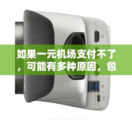 如果一元机场支付不了，可能有多种原因，包括硬件问题、网络问题、软件问题或输入技术问题。以下是一些可能的原因和解决方法