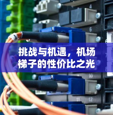 挑战与机遇,机场梯子的性价比之光 挑战与机遇,机场梯子的性价比之光
