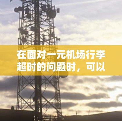 在面对一元机场行李超时的问题时，可以从以下几个方面进行解决方案