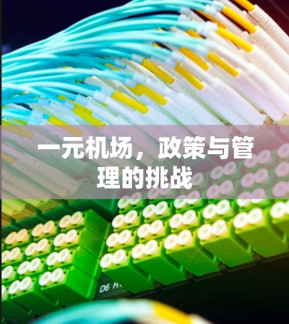 一元机场,政策与管理的挑战 一元机场,政策与管理的挑战