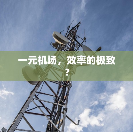 一元机场,效率的极致? 一元机场,效率的极致?