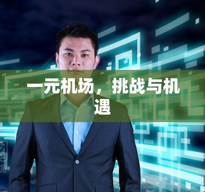 一元机场,挑战与机遇 一元机场,挑战与机遇
