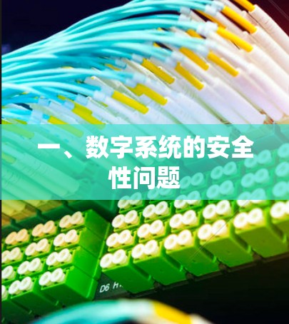 一、数字系统的安全性问题 一、数字系统的安全性问题