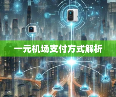 一元机场支付方式解析