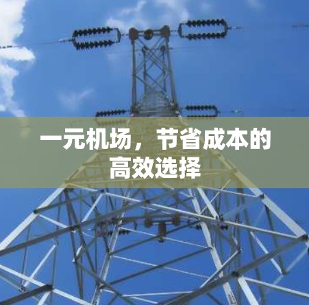 一元机场，节省成本的高效选择