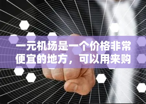一元机场是一个价格非常便宜的地方，可以用来购买各种物品和服务，从而实现旅游、购物或工作等目标。以下是一些具体的建议，帮助你充分利用这个便宜的机会