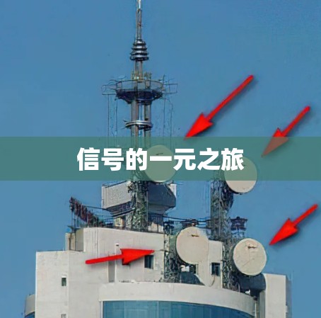 信号的一元之旅 信号的一元之旅