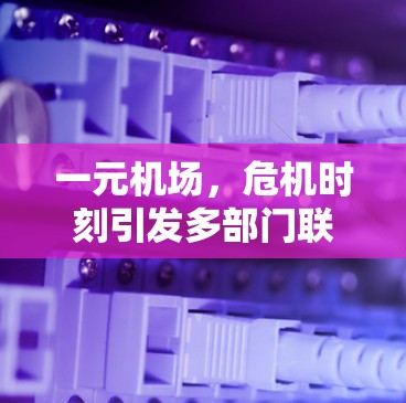 一元机场,危机时刻引发多部门联合行动 一元机场,危机时刻引发多部门联合行动