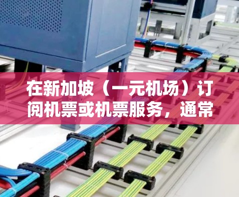 在新加坡(一元机场)订阅机票或机票服务,通常需要遵循以下步骤 在新加坡(一元机场)订阅机票或机票服务,通常需要遵循以下步骤