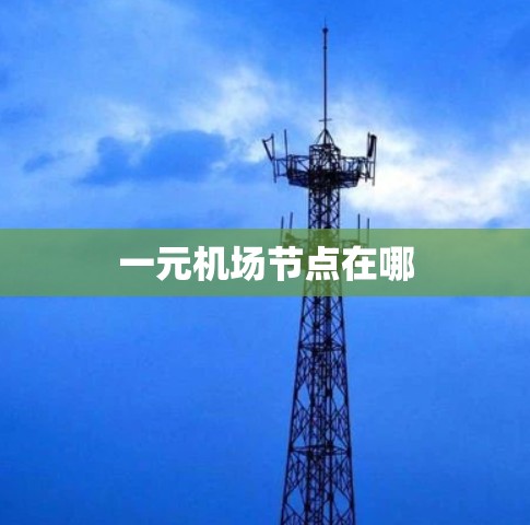 一元机场节点在哪