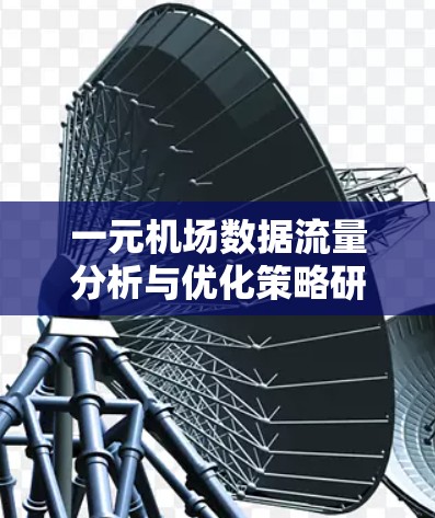一元机场数据流量分析与优化策略研究 一元机场数据流量分析与优化策略研究