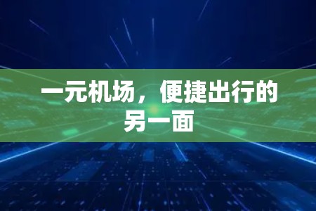 一元机场，便捷出行的另一面