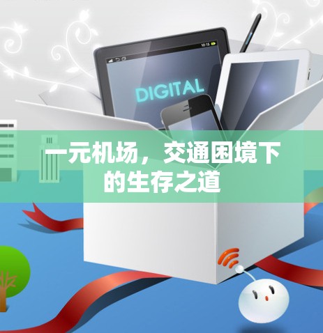 一元机场,交通困境下的生存之道 一元机场,交通困境下的生存之道