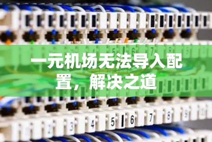 一元机场无法导入配置，解决之道