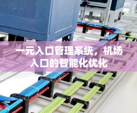 一元入口管理系统,机场入口的智能化优化 一元入口管理系统,机场入口的智能化优化