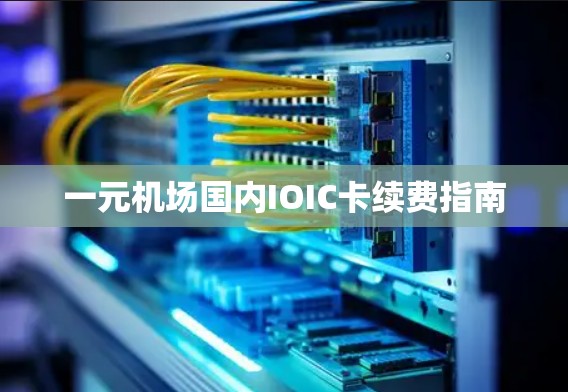 一元机场国内IOIC卡续费指南