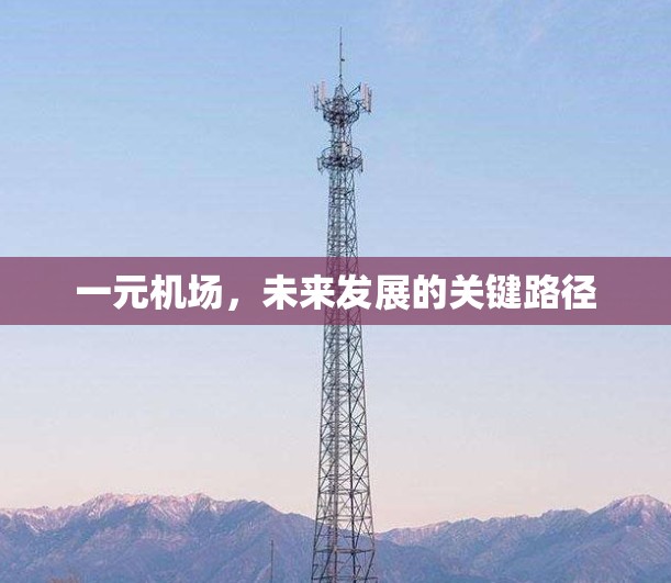 一元机场,未来发展的关键路径 一元机场,未来发展的关键路径