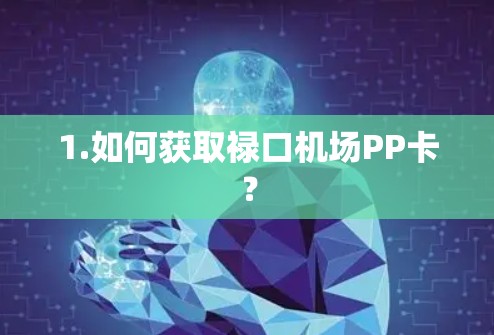 1.如何获取禄口机场PP卡? 1.如何获取禄口机场PP卡?