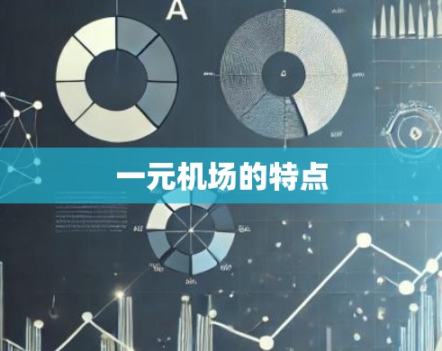 一元机场的特点 一元机场的特点