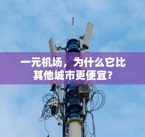一元机场，为什么它比其他城市更便宜？