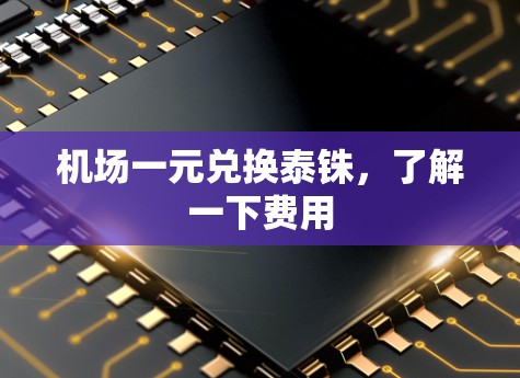 机场一元兑换泰铢，了解一下费用