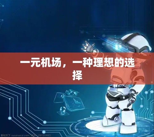 一元机场,一种理想的选择 一元机场,一种理想的选择