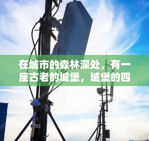 在城市的森林深处，有一座古老的城堡，城堡的四面墙外依山而立。那里不仅有建筑，更有网络和梯子。传说，这个网络和梯子的结合，是城堡的秘密所在