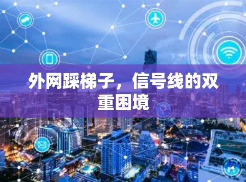 外网踩梯子,信号线的双重困境 外网踩梯子,信号线的双重困境
