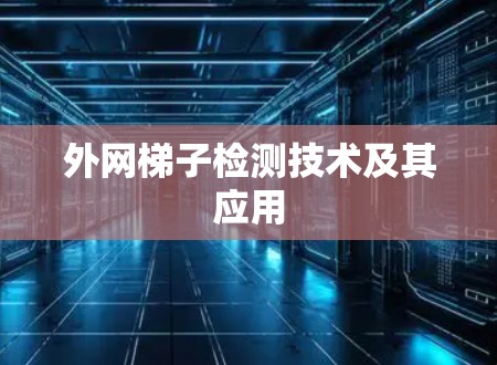 外网梯子检测技术及其应用 外网梯子检测技术及其应用
