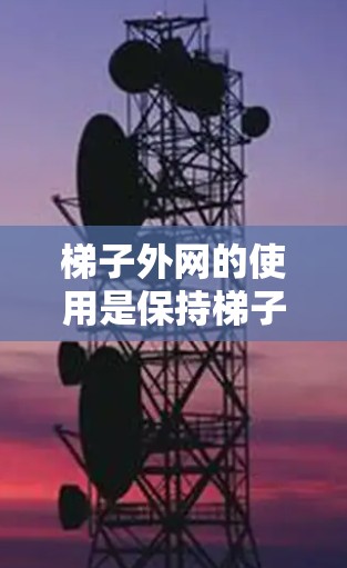 梯子外网的使用是保持梯子稳定性和安全性的重要工具。以下是一个详细的步骤指南,帮助您有效地使用梯子外网 梯子外网的使用是保持梯子稳定性和安全性的重要工具。以下是一个详细的步骤指南,帮助您有效地使用梯子外网