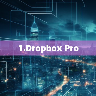 1.Dropbox Pro