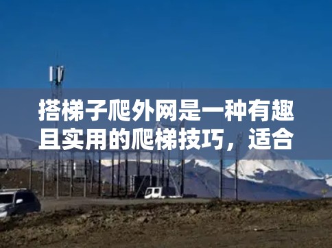 搭梯子爬外网是一种有趣且实用的爬梯技巧,适合喜欢挑战和探索的人。以下是一步步的指南,帮助你成功完成这个任务 搭梯子爬外网是一种有趣且实用的爬梯技巧,适合喜欢挑战和探索的人。以下是一步步的指南,帮助你成功完成这个任务