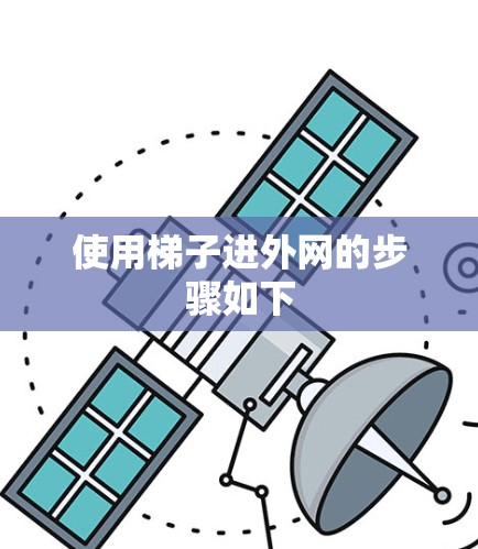 使用梯子进外网的步骤如下