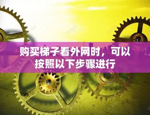 购买梯子看外网时,可以按照以下步骤进行 购买梯子看外网时,可以按照以下步骤进行