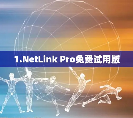 1.NetLink Pro免费试用版