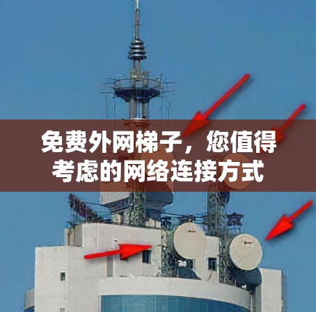 免费外网梯子，您值得考虑的网络连接方式