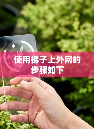 使用梯子上外网的步骤如下 使用梯子上外网的步骤如下