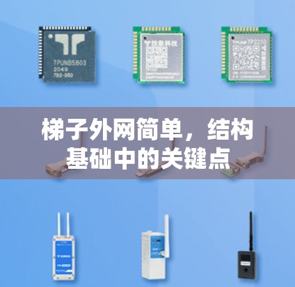 梯子外网简单，结构基础中的关键点