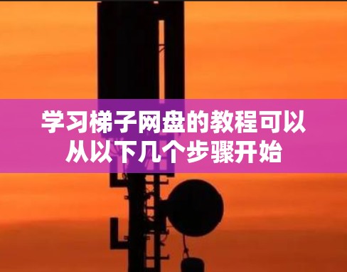 学习梯子网盘的教程可以从以下几个步骤开始