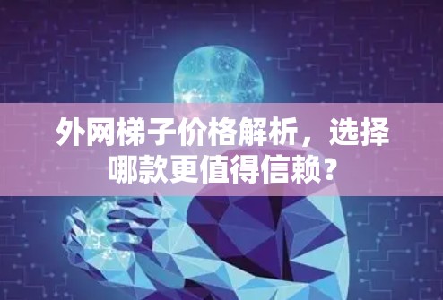 外网梯子价格解析,选择哪款更值得信赖? 外网梯子价格解析,选择哪款更值得信赖?