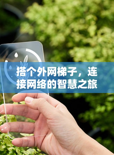 搭个外网梯子,连接网络的智慧之旅 搭个外网梯子,连接网络的智慧之旅