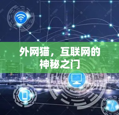 外网猫,互联网的神秘之门 外网猫,互联网的神秘之门