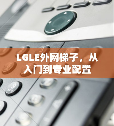 LGLE外网梯子,从入门到专业配置 LGLE外网梯子,从入门到专业配置