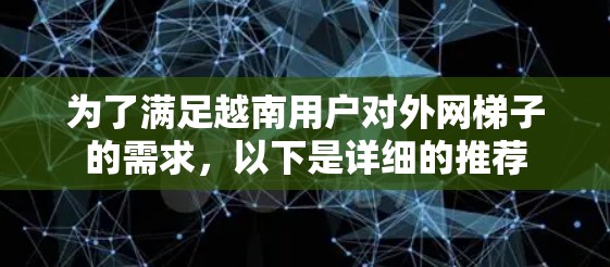 为了满足越南用户对外网梯子的需求，以下是详细的推荐