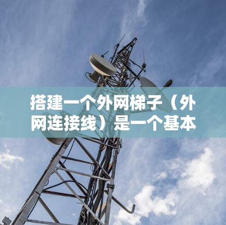 搭建一个外网梯子(外网连接线)是一个基本的网络连接步骤,涉及多个步骤和注意事项,以下是详细指南 搭建一个外网梯子(外网连接线)是一个基本的网络连接步骤,涉及多个步骤和注意事项,以下是详细指南